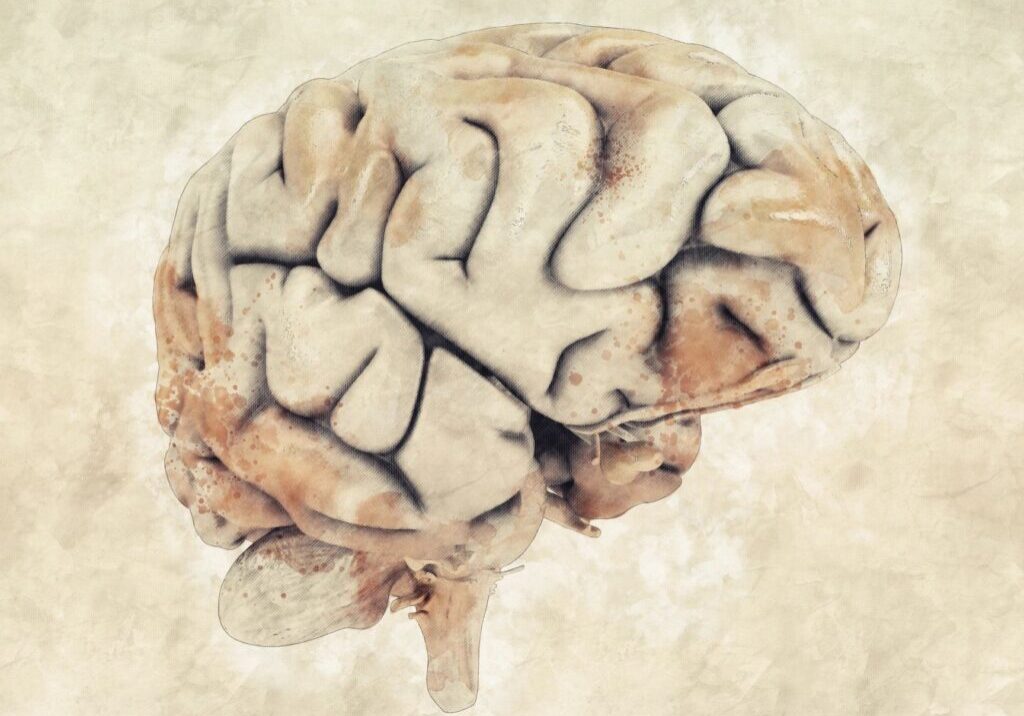 A picture of an image of a human brain.